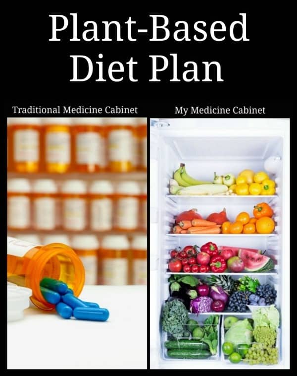 plant based diet plan
