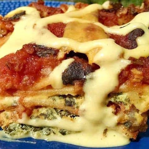 Lasagna spinach black bean