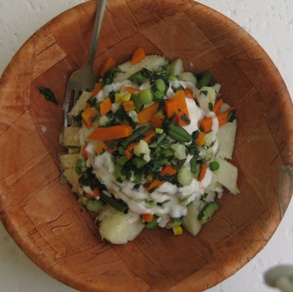 simple plant-based diet recipes. potato veggies