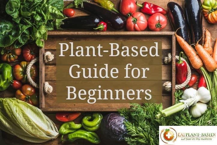 plant based diet guide video