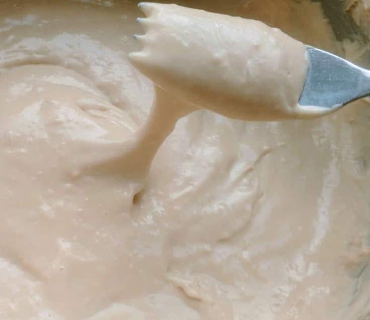 Cashew Vegan Cheese Mozzarella