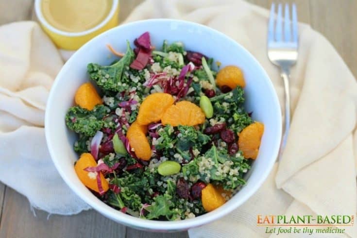 Kale Quinoa Salad with Orange Miso Dressing