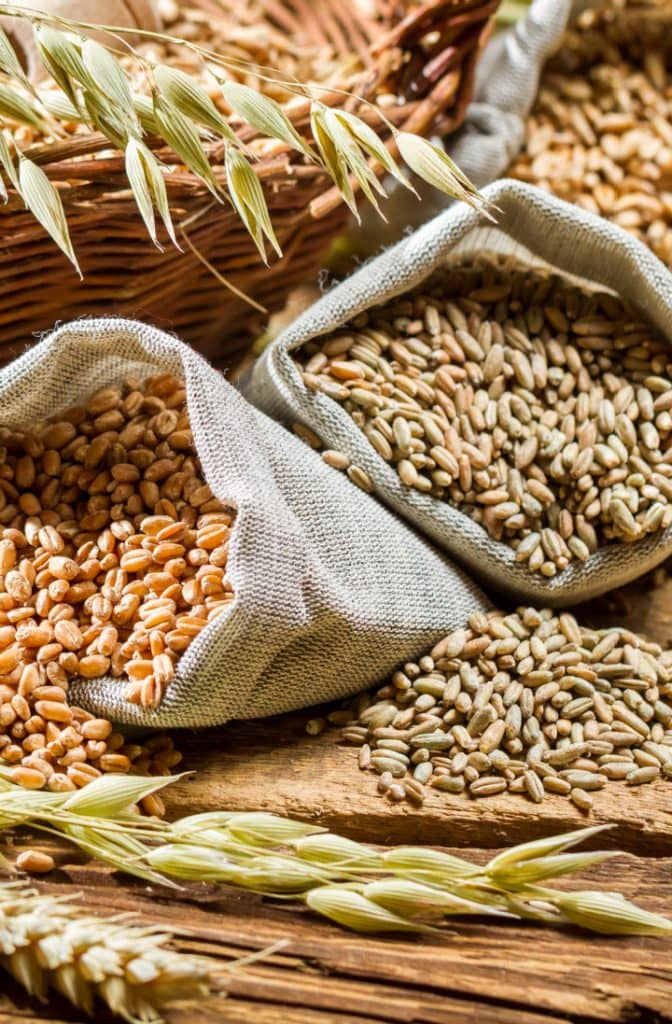 Different types of cereal grains with ears