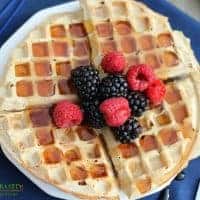 vegan waffles with berries on plate with fork
