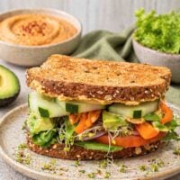 hummus sandwich piled high with tomato, lettuce, cucumbers, avocado, beansprouts.