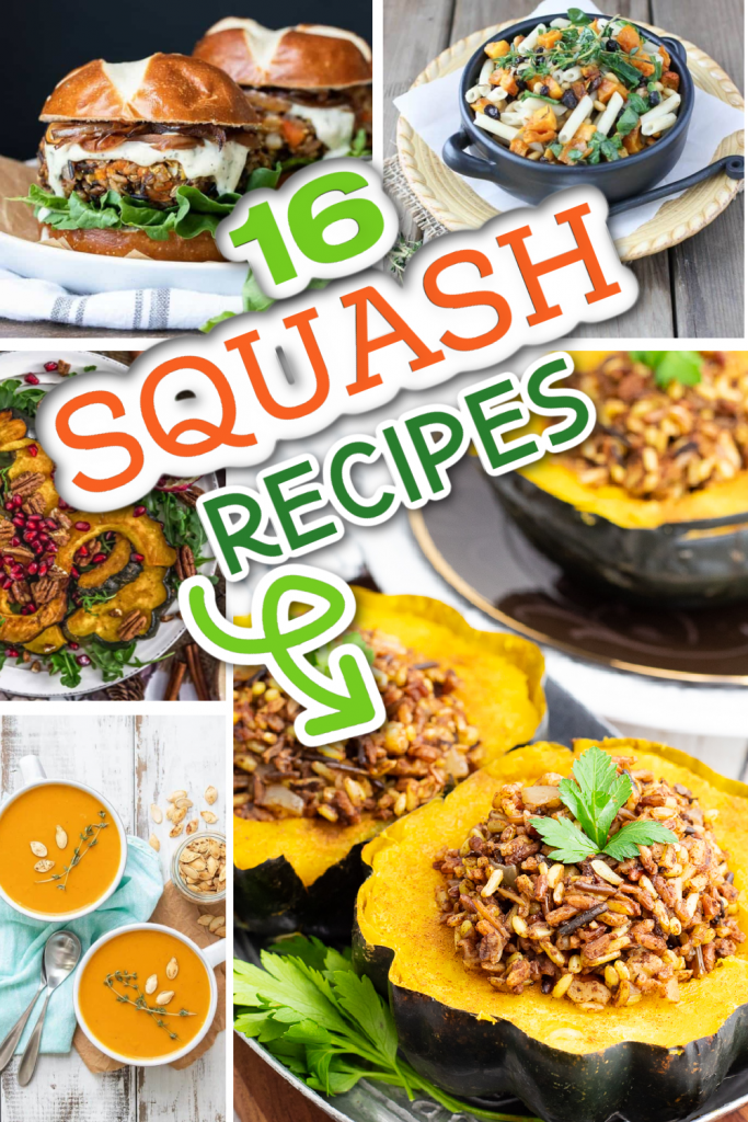 photo collage of vegan squash recipes