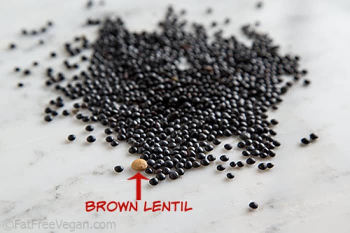 beluga size comparison to brown lentils