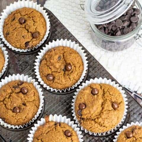 chocolate chip muffins in tin baking pan with jar of chocolate chips