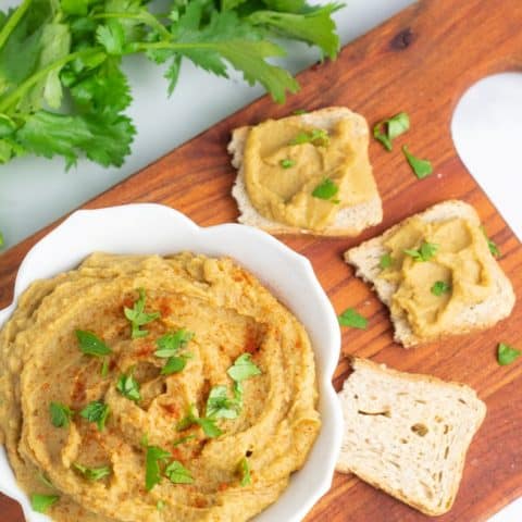 no tahini italian hummus in white bowl surrounded by melba toast topped with hummus and cilantro overhead photo