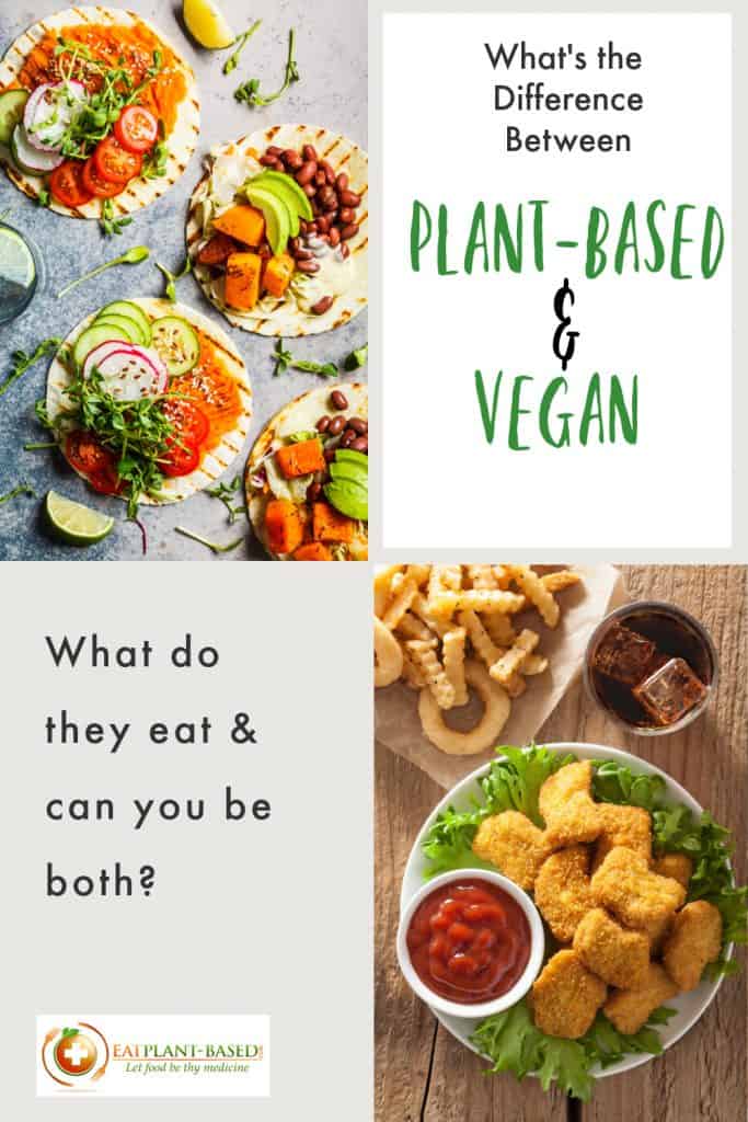 plant based and vegan infographic