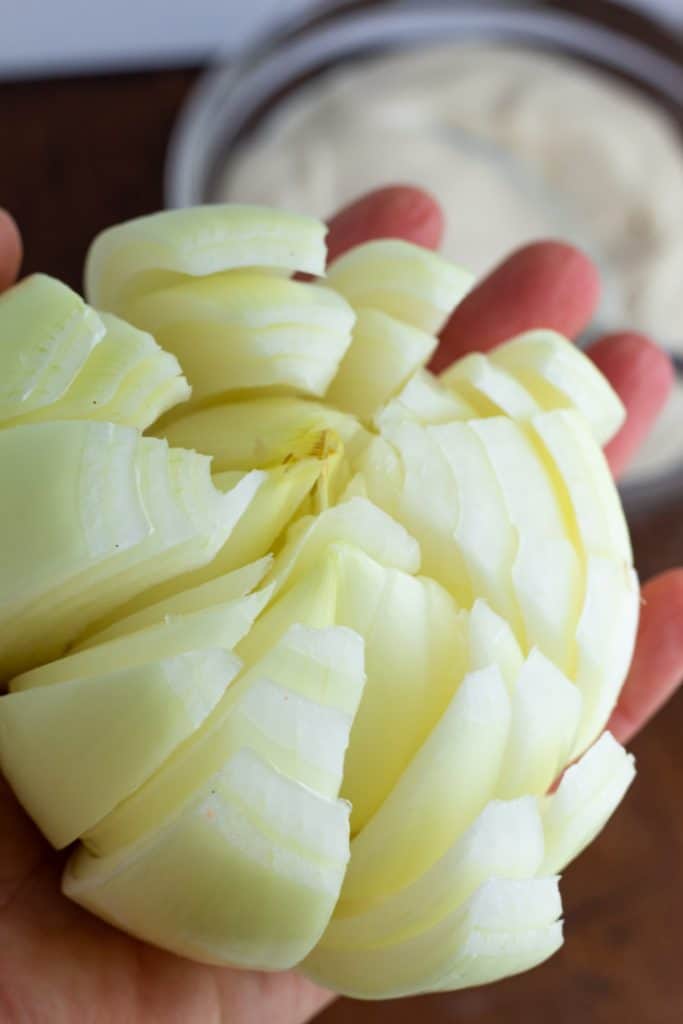 sliced onion in a hand