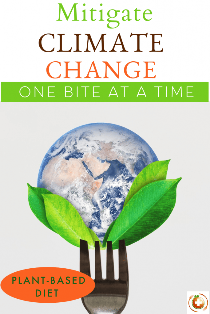 climate change and diet photo collage for pinterest