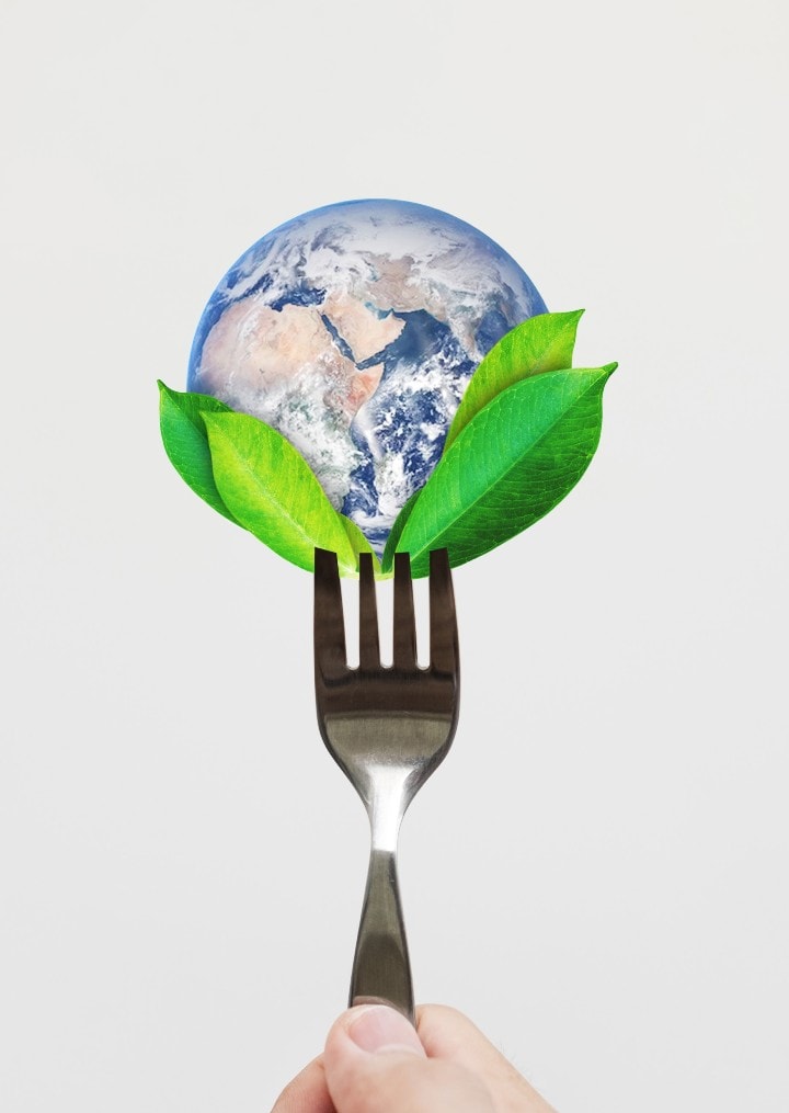 Earth and plants on a fork