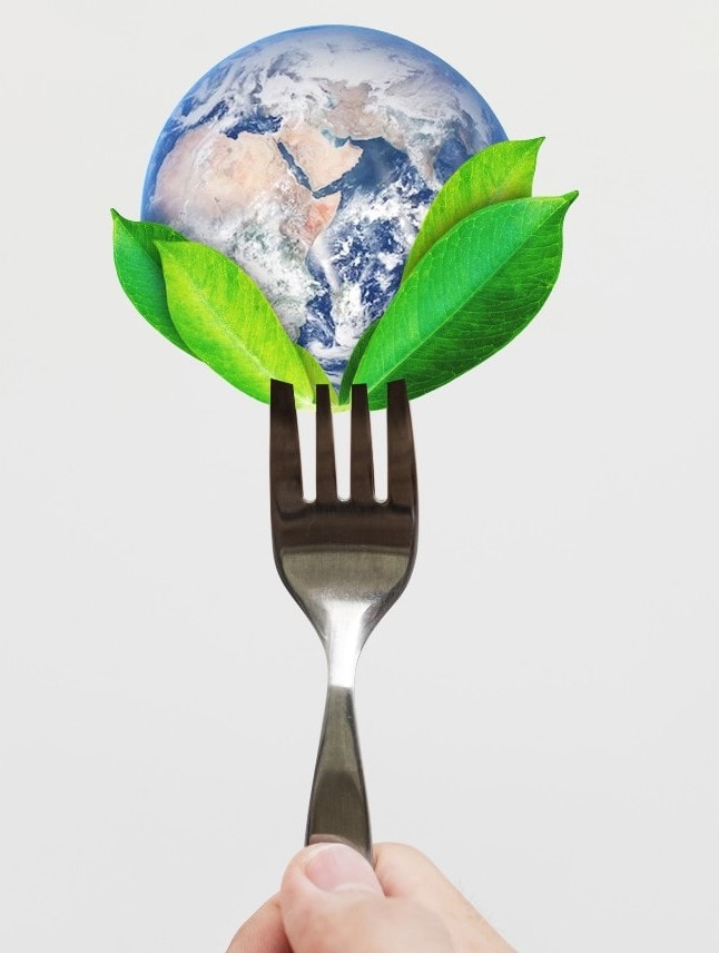 Mitigate Climate Change One Bite at a Time | Plant-Based Diet