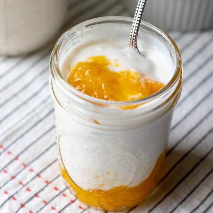 Image for Instant Pot Cashew Yogurt
