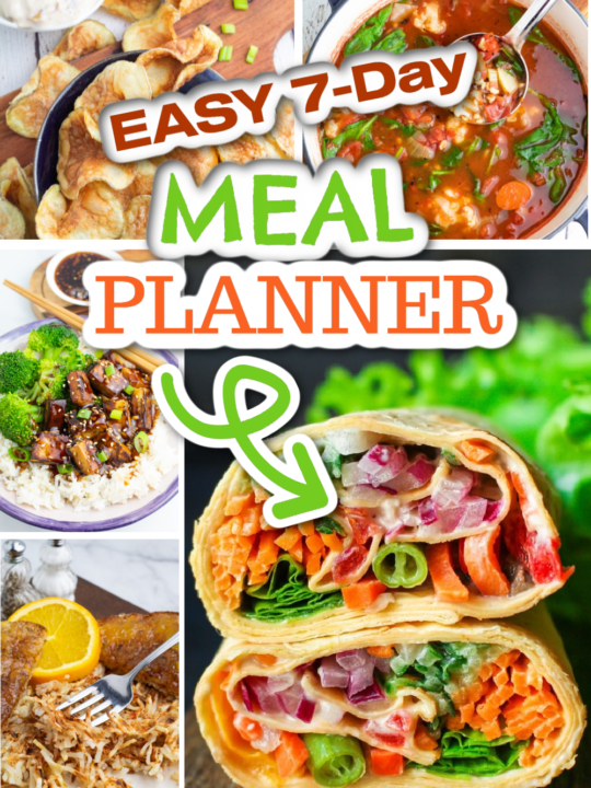 vegan meal planner photo collage