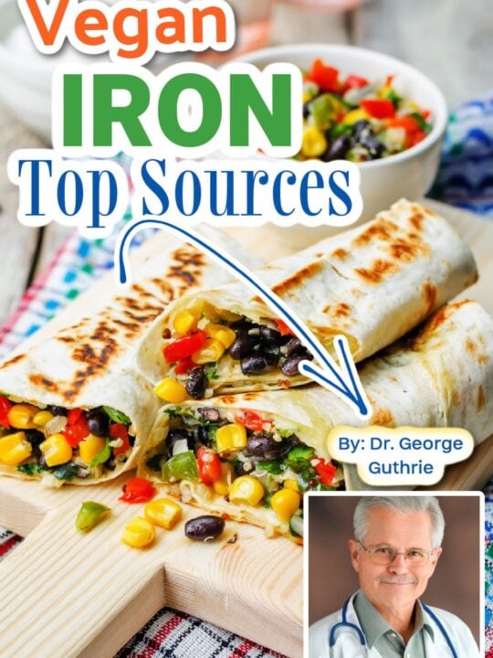 photo collage for vegan iron sources