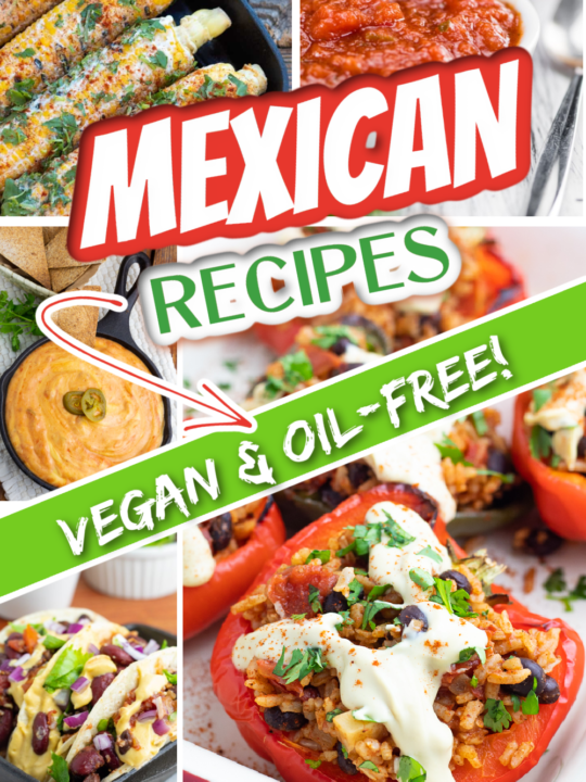 vegan mexican recipes photo collage