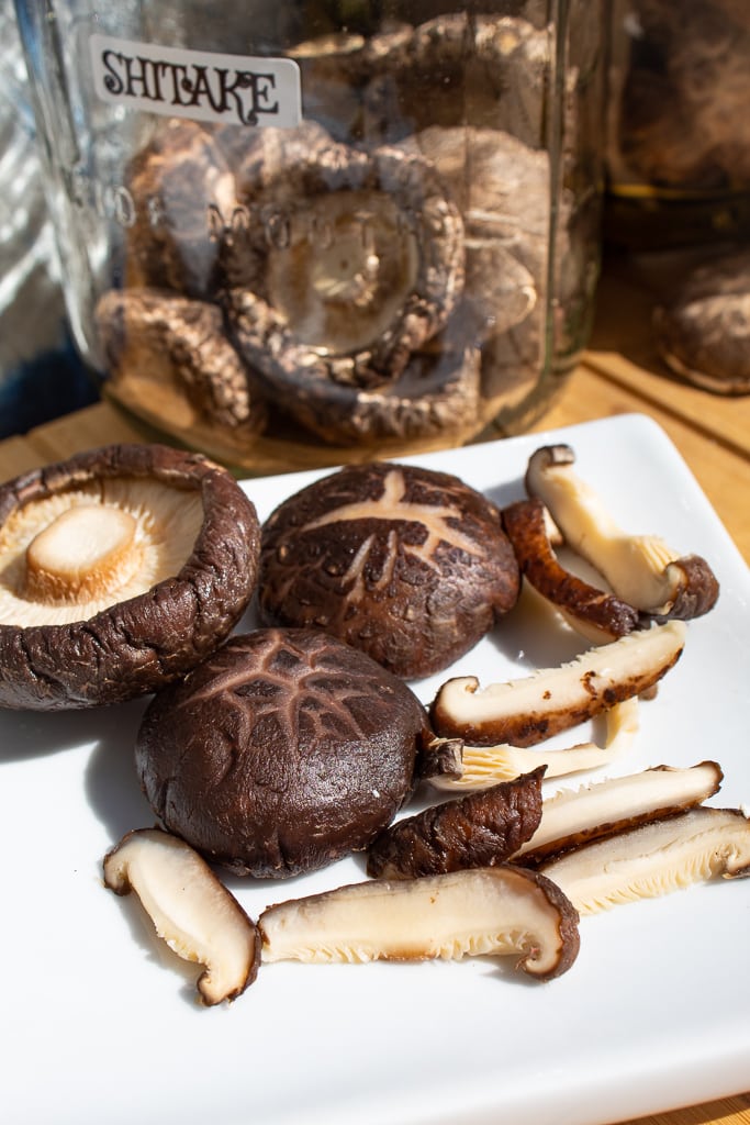 rehydrated shitake mushrooms in white dish
