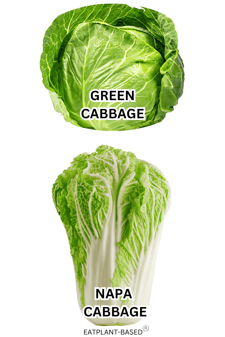 Comparison Photo of Napa and Green Cabbage on a white background