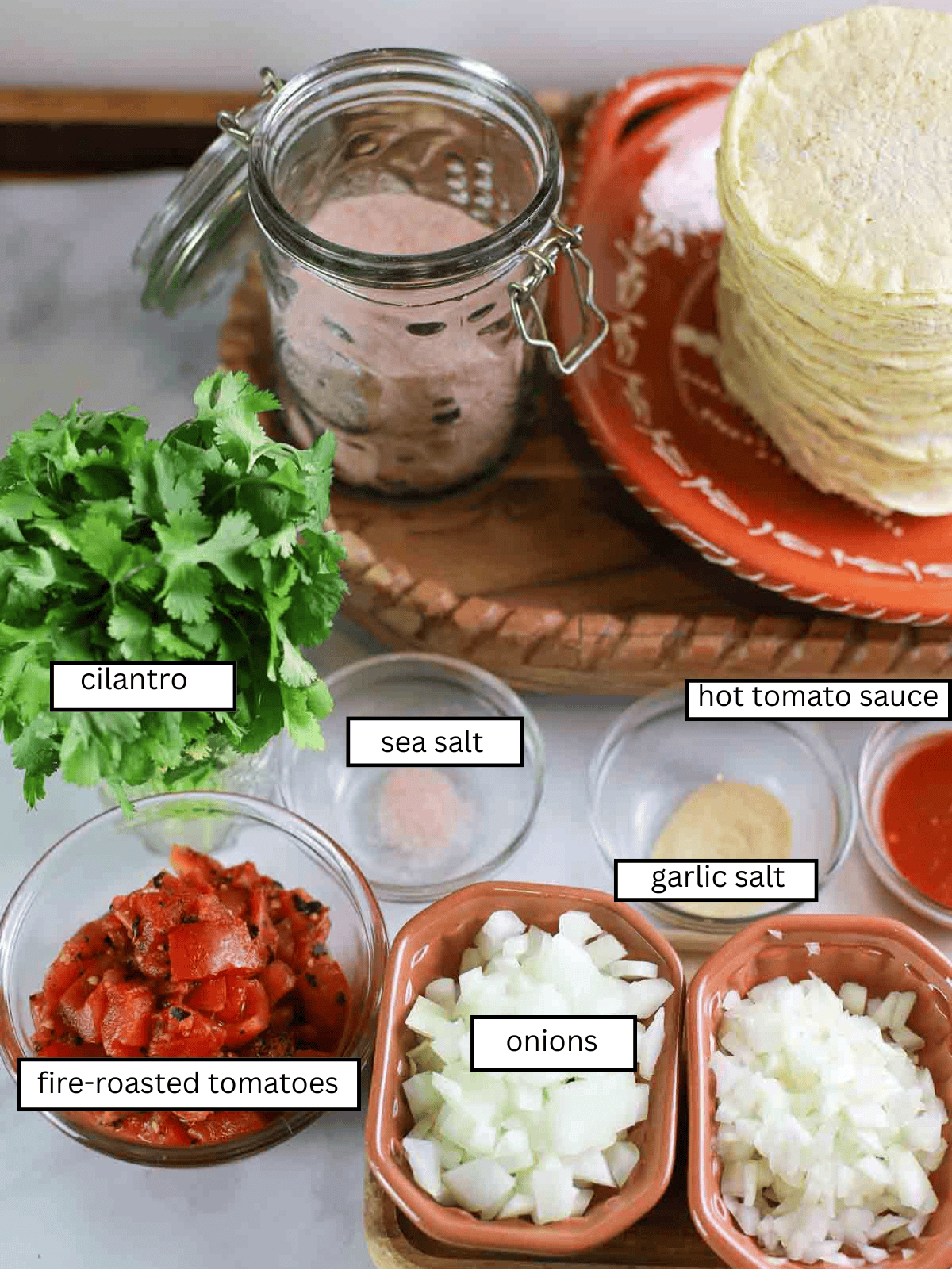 labeled ingredients for making red salsa.