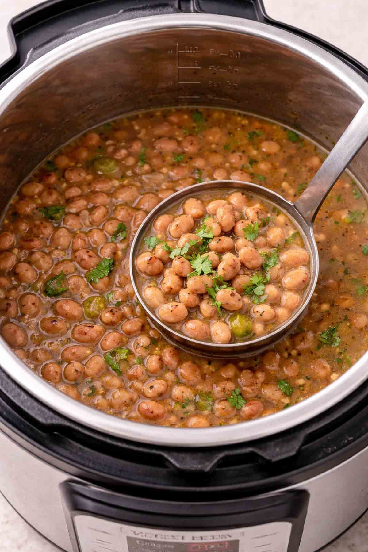 pinto-beans-cooked-in-instant-pot-with-serving-spoon.