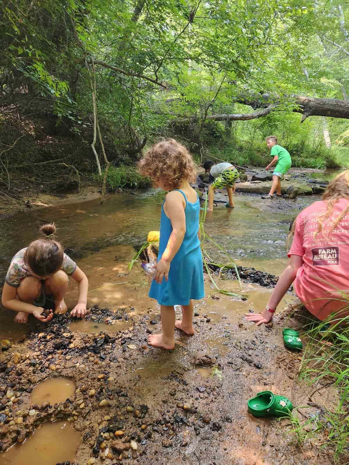 children in a creek on a summer day.