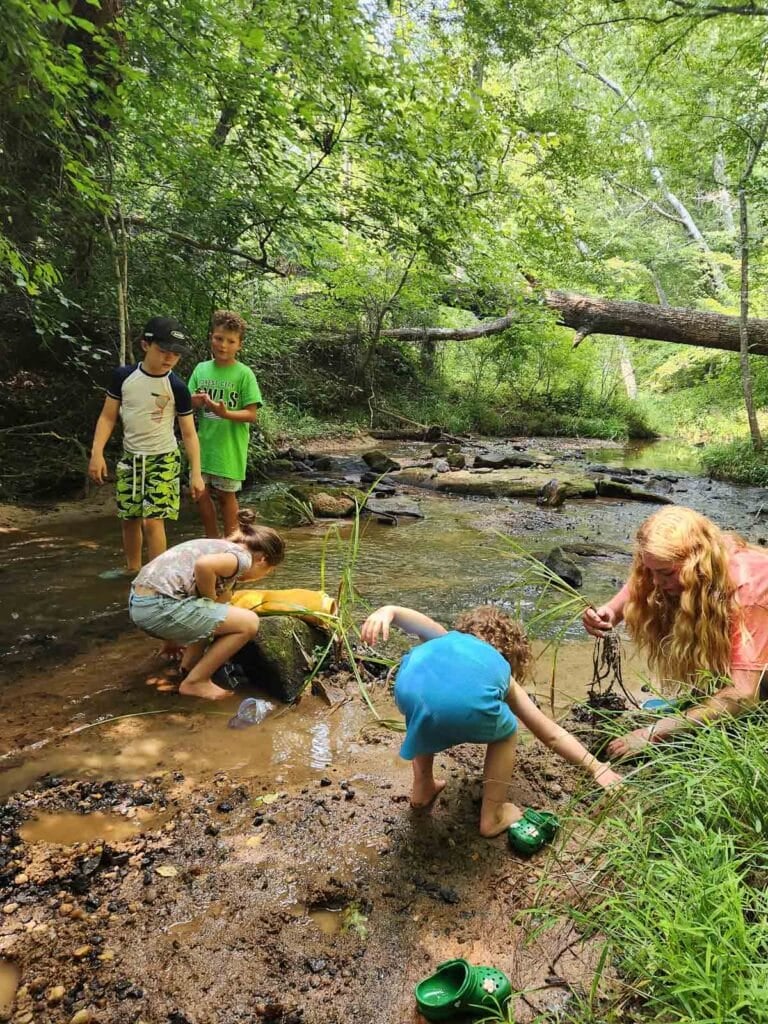kids playing at a creek.