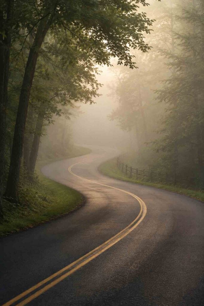 foggy winding road.